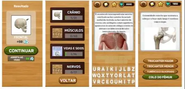 O MELHOR DA ANATOMIA - ANATOMIA GAMES